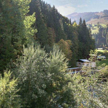 Apartment In Salzburgerland Near The Ski Area Viehhofen Luaran gambar