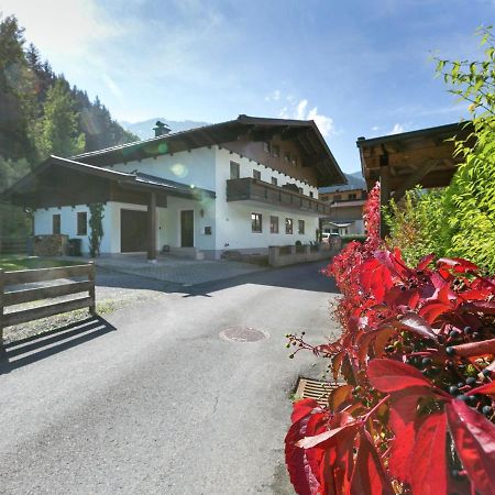 Apartment In Salzburgerland Near The Ski Area Viehhofen Luaran gambar