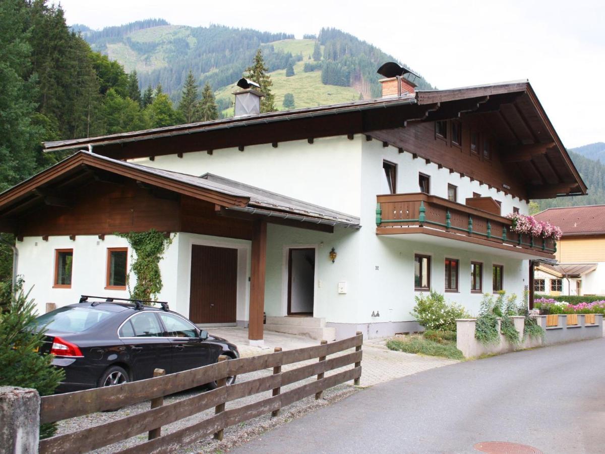 Apartment In Salzburgerland Near The Ski Area Viehhofen Luaran gambar