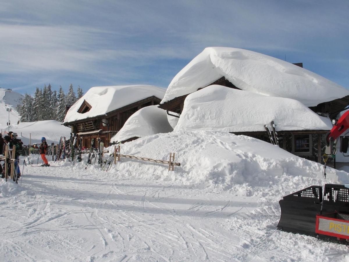 Apartment In Salzburgerland Near The Ski Area Viehhofen Luaran gambar