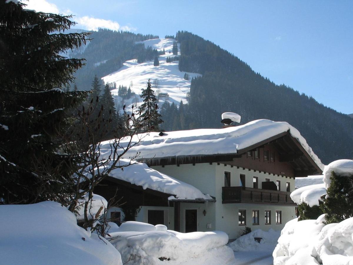 Apartment In Salzburgerland Near The Ski Area Viehhofen Luaran gambar