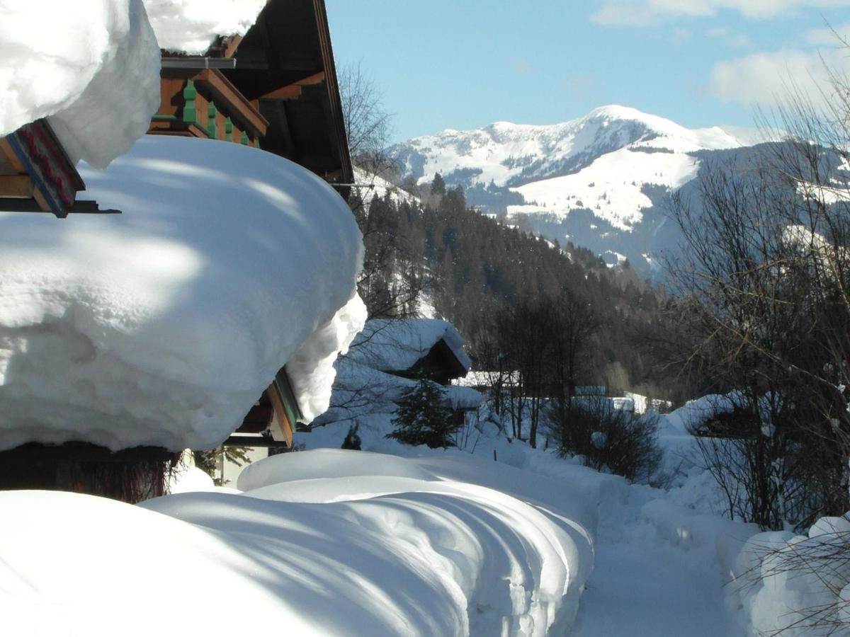 Apartment In Salzburgerland Near The Ski Area Viehhofen Luaran gambar