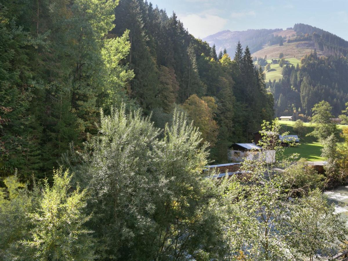 Apartment In Salzburgerland Near The Ski Area Viehhofen Luaran gambar