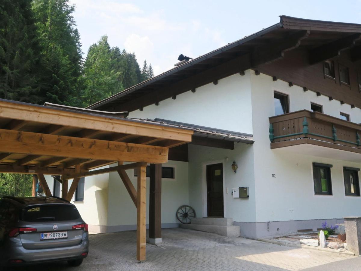 Apartment In Salzburgerland Near The Ski Area Viehhofen Luaran gambar