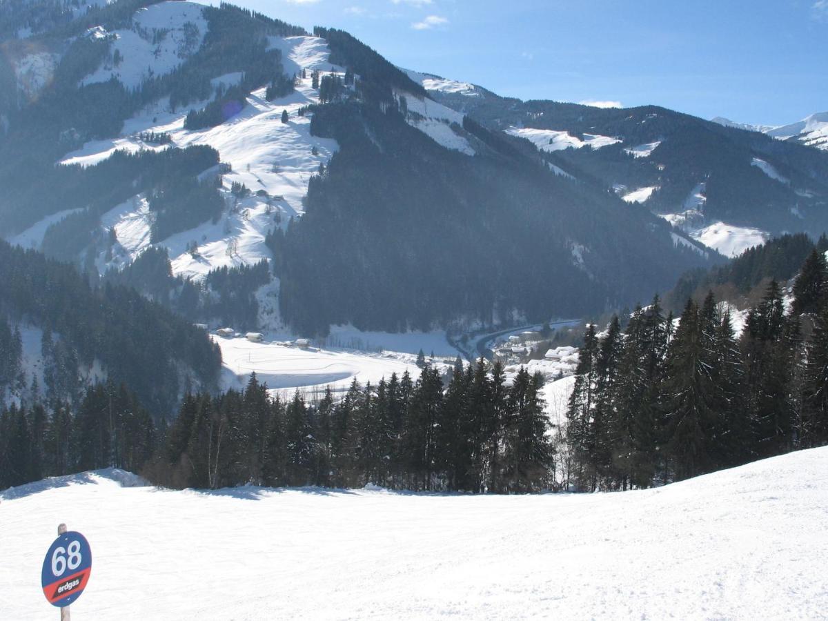 Apartment In Salzburgerland Near The Ski Area Viehhofen Luaran gambar