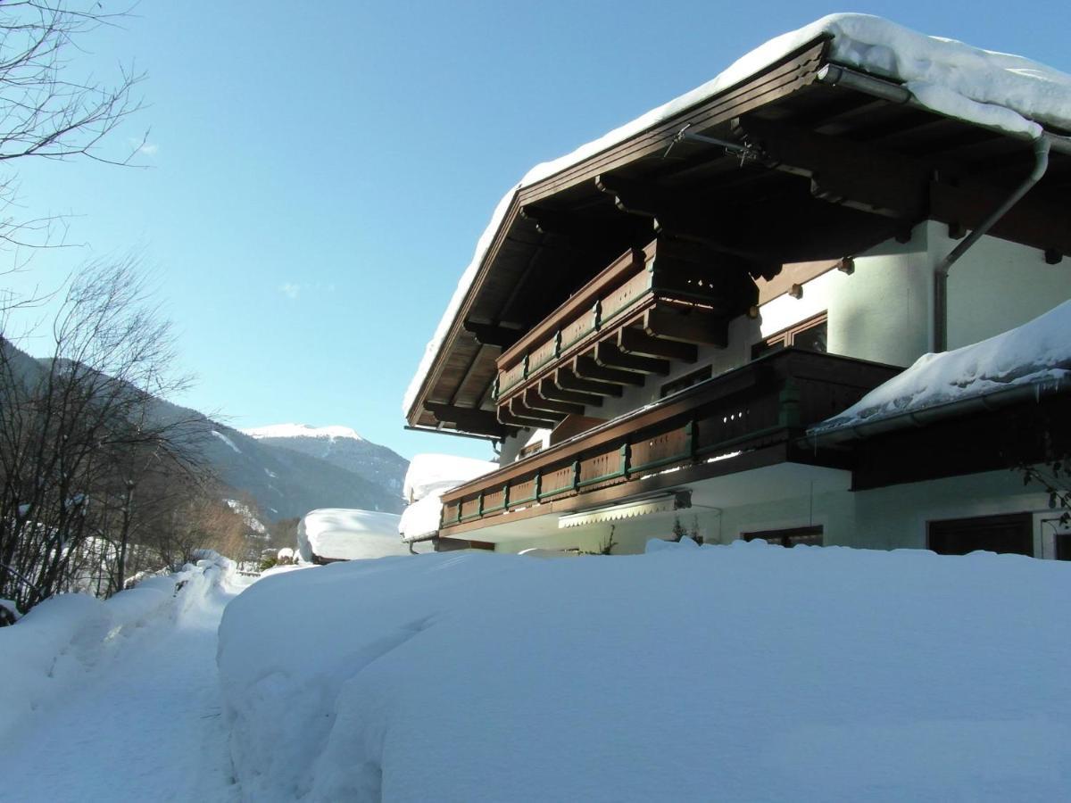 Apartment In Salzburgerland Near The Ski Area Viehhofen Luaran gambar