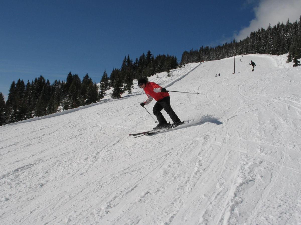 Apartment In Salzburgerland Near The Ski Area Viehhofen Luaran gambar
